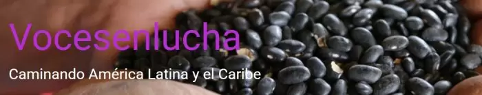 Vocesenlucha